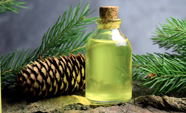 istock Spruce aroma syrup bio organic 1133422815