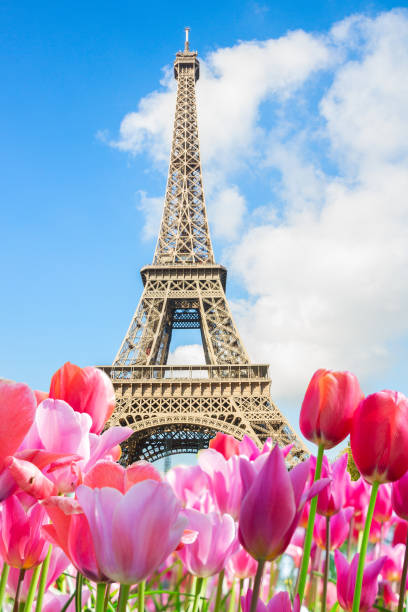 istock Eiffel tower close up, France 1133422908