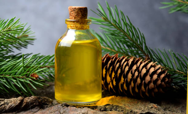 istock Spruce aroma syrup bio organic 1133422957