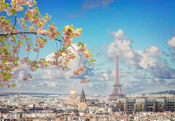 istock skyline of Paris with eiffel tower 1133425867