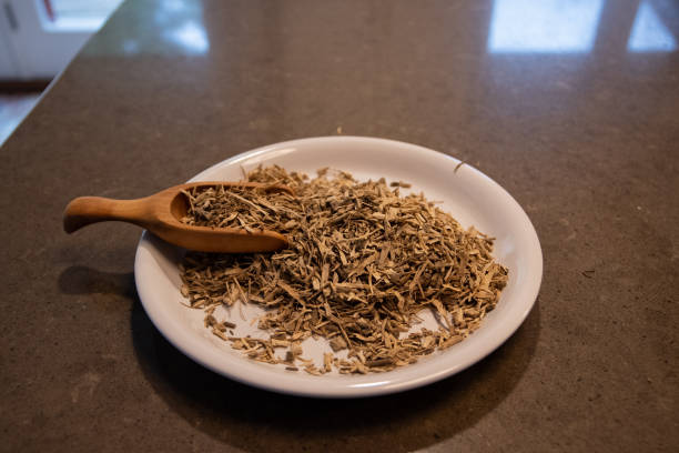 Kava Kava root on plate in a kitchen setting, A well known organic herbal tea used to relax the body. Wooden spoon filled with the root stock photo