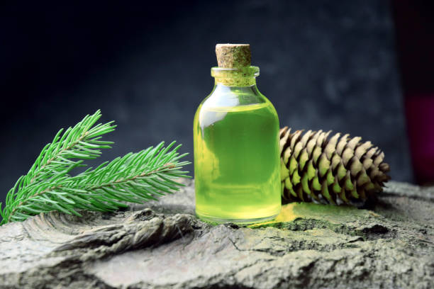 istock Spruce aroma syrup bio organic 1133434084