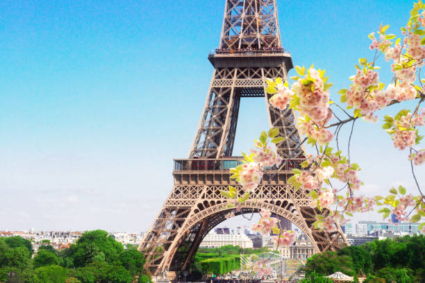 istock Eiffel Tower and Paris cityscape 1133434132