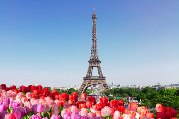 istock Eiffel Tower and Paris cityscape 1133434180