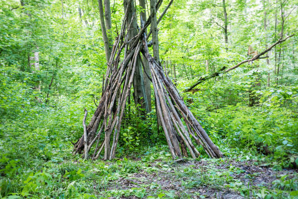 istock A hut made of branches in a forest on a glade 1133435726