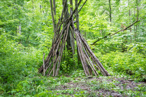 istock A hut made of branches in a forest on a glade 1133435728