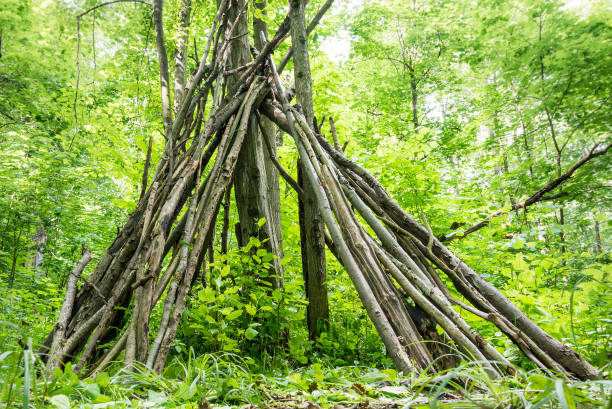 istock A hut made of branches in the forest (bottom view) 1133435843