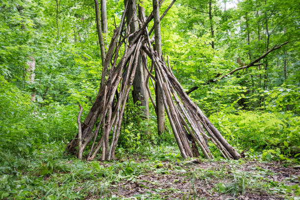 istock A hut made of branches in a forest on a glade 1133435948