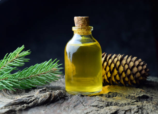 istock Spruce aroma syrup bio organic 1133436020