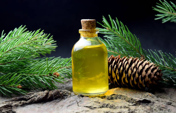 istock Spruce aroma syrup bio organic 1133436077