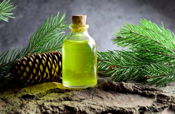 istock Spruce aroma syrup bio organic 1133436594