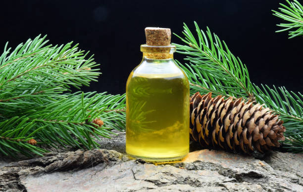istock Spruce aroma syrup bio organic 1133436610