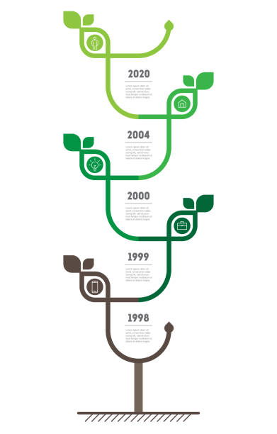 2,800+ Tree Timeline Stock Photos, Pictures & Royalty-Free Images - iStock