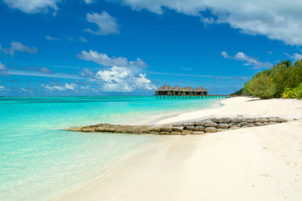 istock Overwater bungalow in the Indian Ocean 1133440810