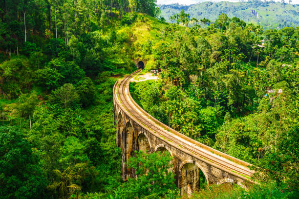 istock View on Nine Arches Bridge in Sri Lanka, Ella 1133440850