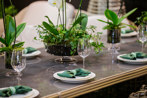 Restaurant table in eco style with green elements, wooden table, live orchids, glasses, plates, feast.