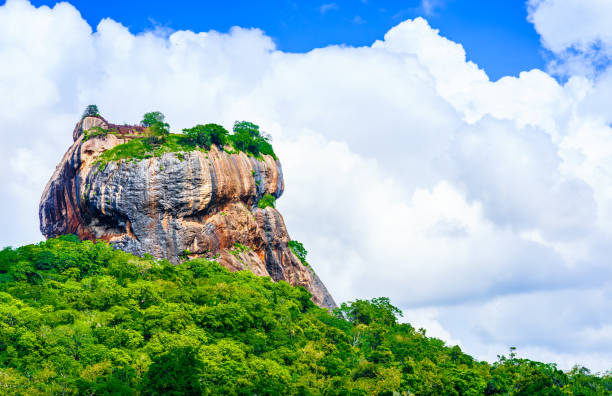 roccia di sigiriya nella giungla dello sri lanka - buddhism sigiriya old famous place foto e immagini stock