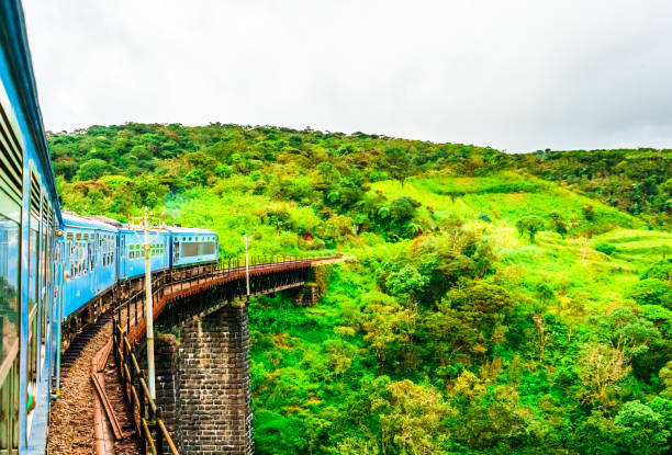istock Train near Ella, running through tea fields. Sri Lanka 1133443071