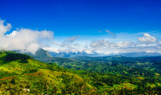 istock View on green mountain landscape next to Haputale, Sri Lanka 1133443112