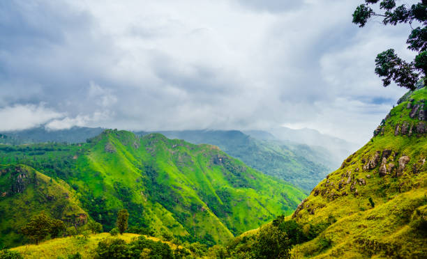 istock View from the Adams peak to Ella rock, Sri Lanka 1133443969