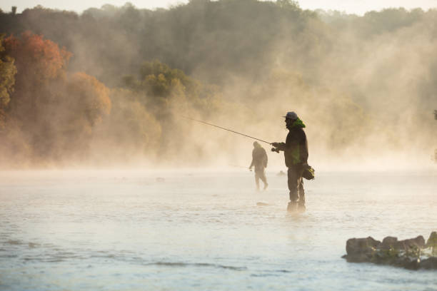 夏の朝にフライロッドと川で釣り男性. - fly fishing fishing river fisherman ストックフォトと画像