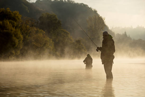 夏の朝にフライロッドと川で釣り男性. - fly fishing fishing river fisherman ストックフォトと画像