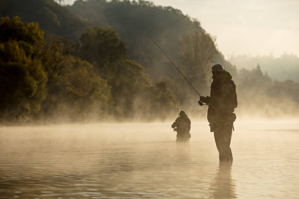 Men fishing in river with fly rod during summer morning. Men fishing in river with fly rod during summer morning. Beautiful fog. fly fishing stock pictures, royalty-free photos & images