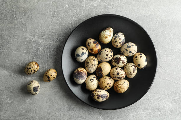 istock Quail eggs in plate on gray background, space for text 1133447743