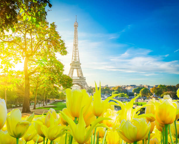 istock eiffel tour and from Trocadero, Paris 1133447885