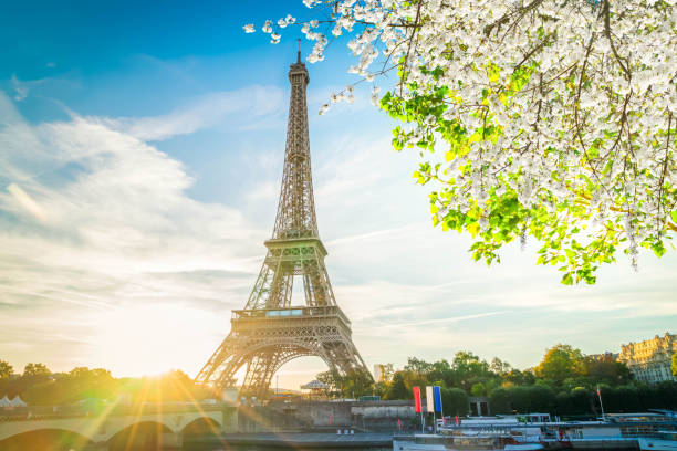 istock eiffel tour over Seine river 1133447941