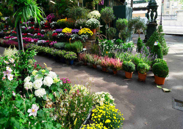 istock Paris flower market 1133447992