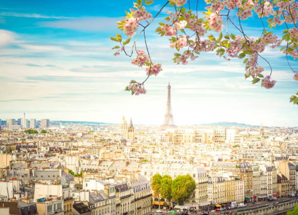 istock skyline of Paris with eiffel tower 1133448142
