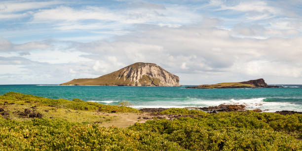 istock Island State Seabird Sanctuary Panorama 1133448281