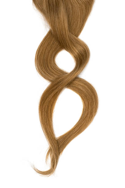 long beau cheveu brun dans la forme du chiffre huit, isolé sur le fond blanc - human hair curled up hair extension isolated photos et images de collection