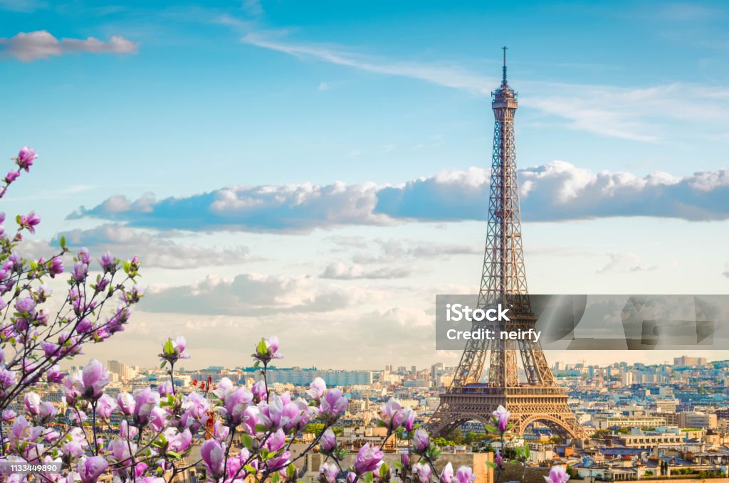 eiffel tour and Paris cityscape famous Eiffel Tower and Paris roofs with spring tree, Paris France Paris - France Stock Photo