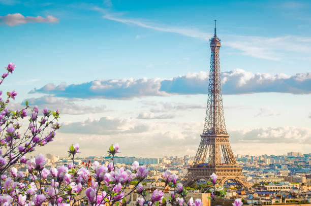 eiffel tour and Paris cityscape famous Eiffel Tower and Paris roofs with spring tree, Paris France international landmark stock pictures, royalty-free photos & images