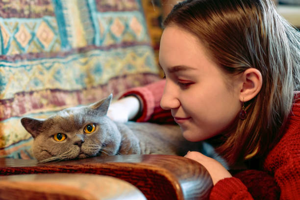 istock Happy girl with her cat indoors 1133451943