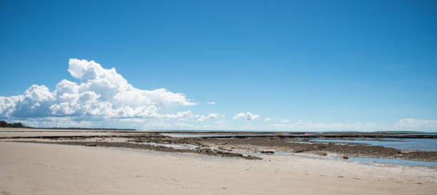 istock Low Tide: Casuarina Coastal Reserve 1133462489