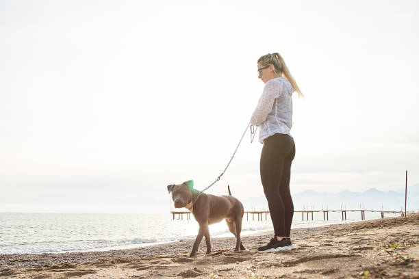 istock Women and Dog at the Beach 1133463291