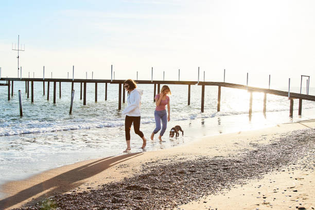istock Women and Dog at the Beach 1133463501