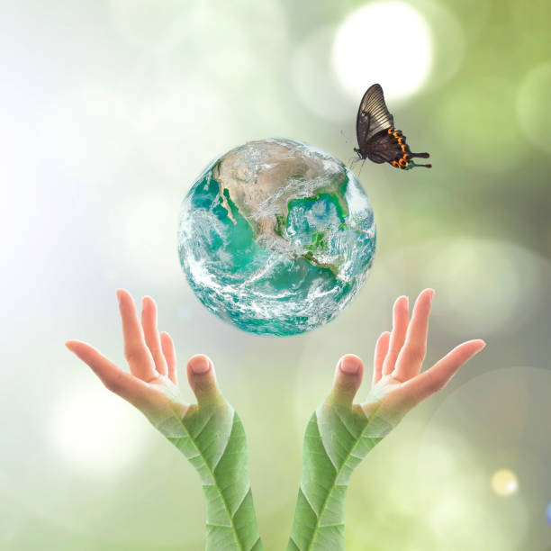 istock World environment day and ecological friendly concept with green planet on hands with tree leaves: Elements of this image furnished by NASA 1133468157
