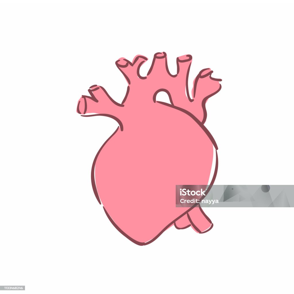 Illustration of a human heart Illustration of a human heart. Can be used as symbol of cardiology Anatomy stock vector