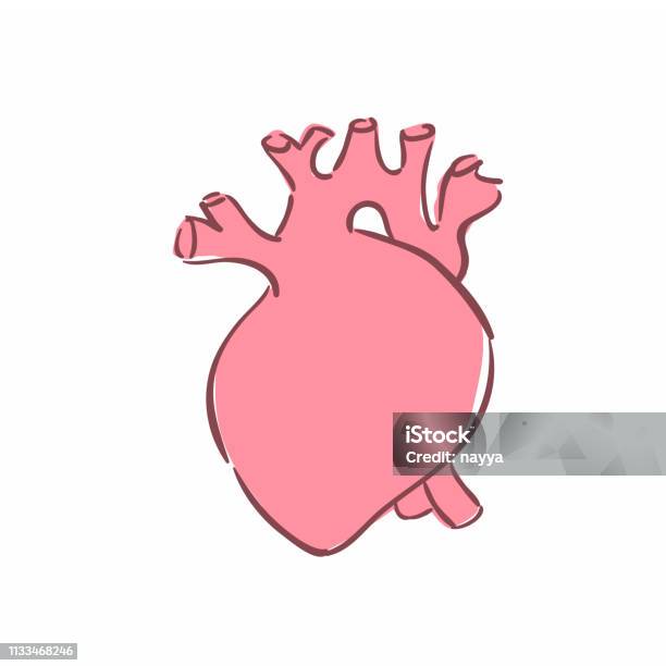 Illustration Of A Human Heart Stock Illustration - Download Image Now - Anatomy, Drawing - Activity, Heart - Internal Organ