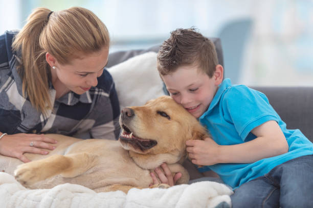 istock A dog gets attention from his owners 1133468372