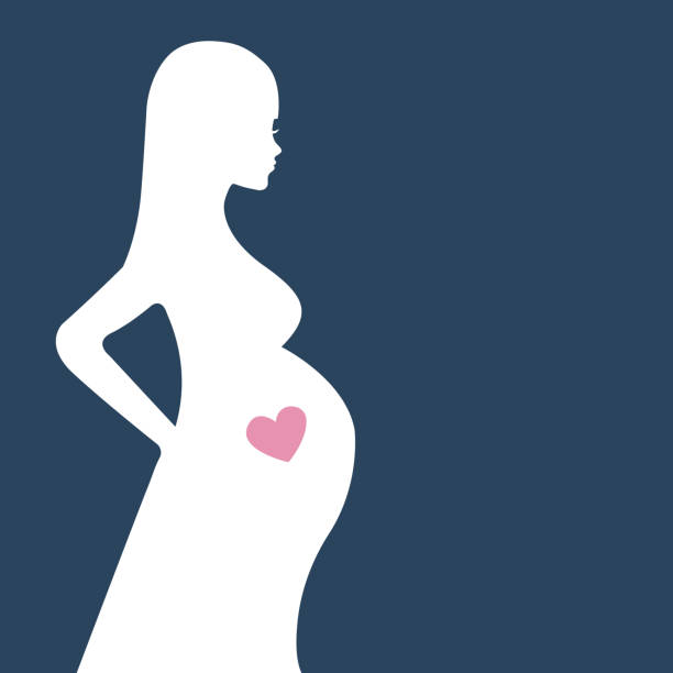 ilustraciones, imágenes clip art, dibujos animados e iconos de stock de silueta de mujer embarazada con corazón sobre fondo azul oscuro. - cuerpo de animal