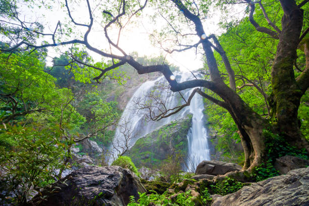 istock Khlong Lan waterfall in national park, Kamphaeng Phet Thailand 1133470426