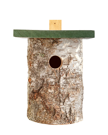 natural log tit nesting box bird house isolated on white