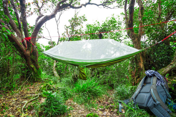istock Modern camping hammock on hiking trail 1133473059
