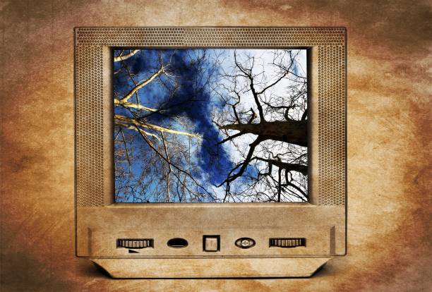 istock Trees and blue sky on TV 1133474581