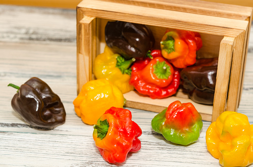 Various chili peppers in a tray. West Indian peppers. Habanero pepper